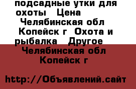 подсадные утки для охоты › Цена ­ 1 000 - Челябинская обл., Копейск г. Охота и рыбалка » Другое   . Челябинская обл.,Копейск г.